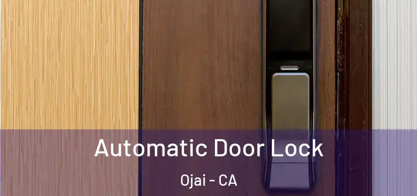 Automatic Door Lock Ojai - CA