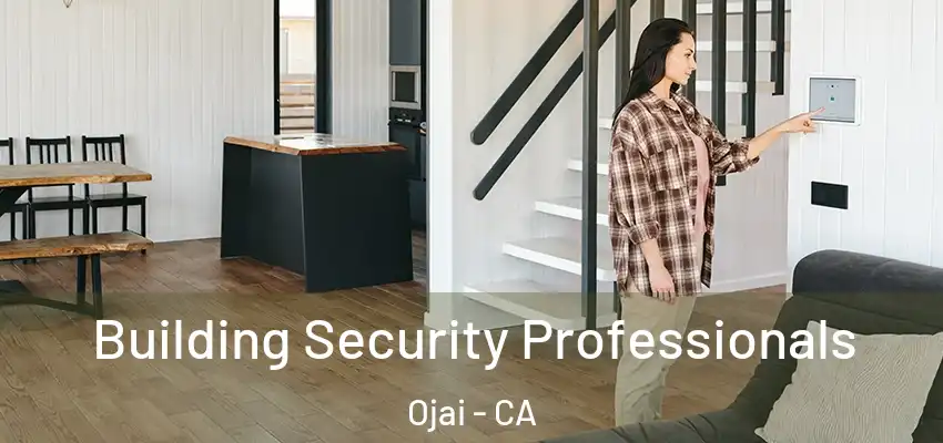 Building Security Professionals Ojai - CA