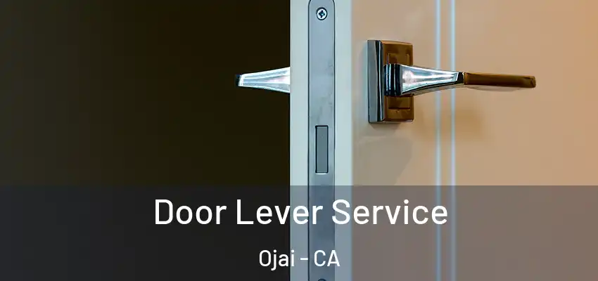  Door Lever Service Ojai - CA