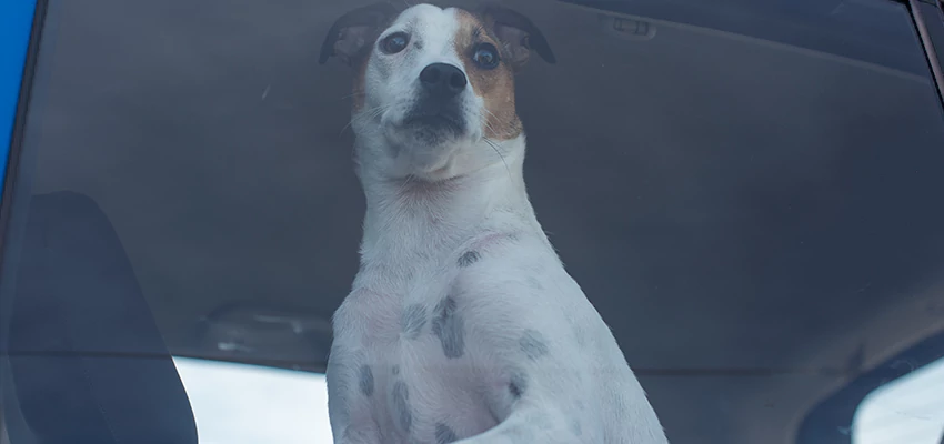 Car Lockout Solutions in Ojai, California